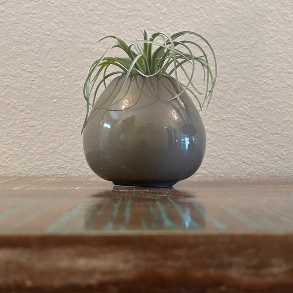 Rookwood Pottery Sophie Vase #10236 Gray with Blue Rim Present Day MMXVII 2017 - Picture 2 of 7